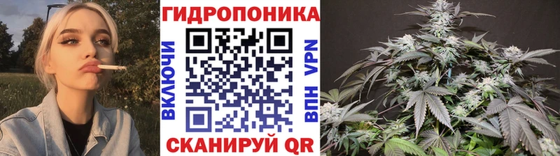 Сколько стоит Новозыбков МАРИХУАНА Псилоцибиновые грибы Гашиш Мефедрон