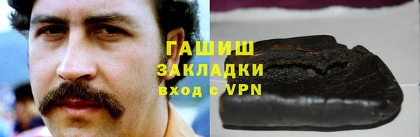 дмт Бородино