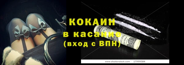 дмт Бородино