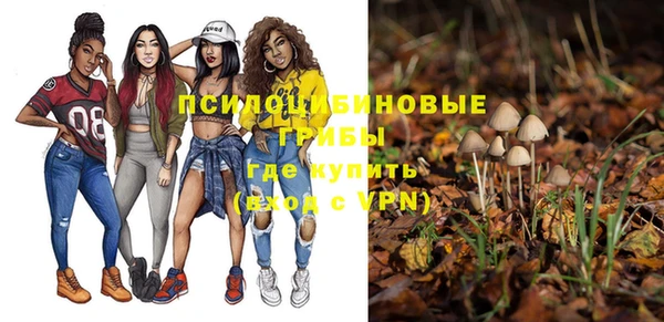 дурь Осташков