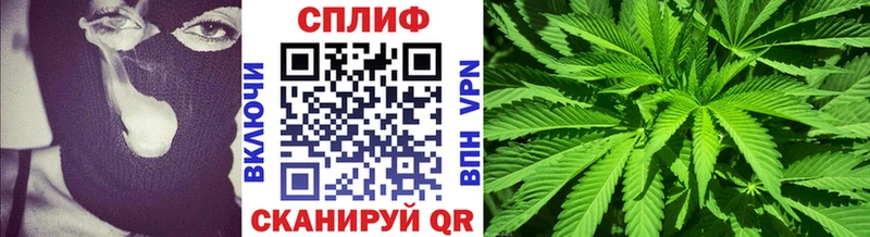 даркнет сайт  ссылка на мегу ссылки  Бошки Шишки конопля  Новозыбков 